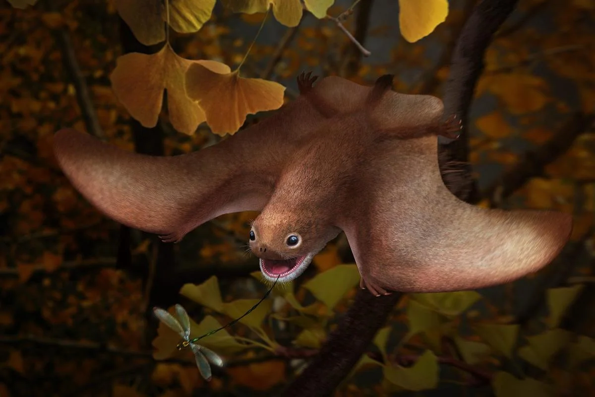 Anurognathus ammoni trying to catch an insect
