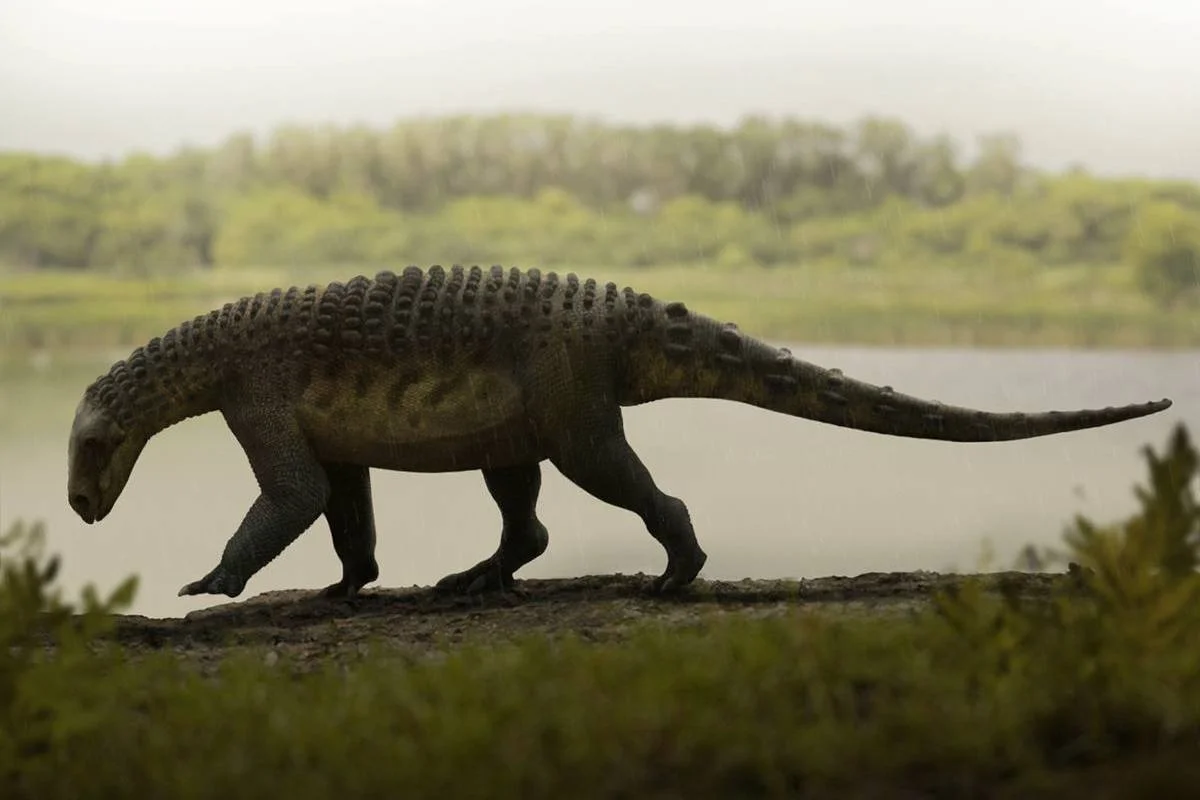 Pawpawsaurus campbelli