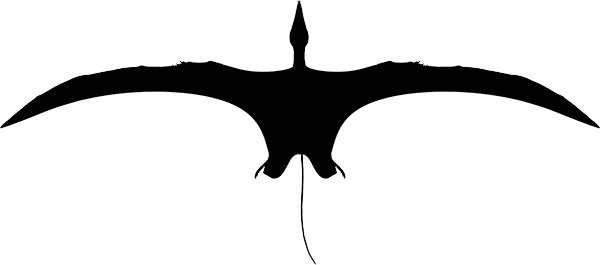 Campylognathoididae