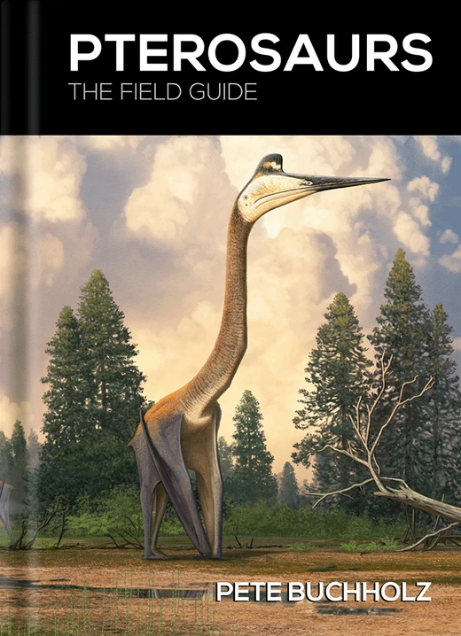 Pterosaurs: The Field Guide — book cover