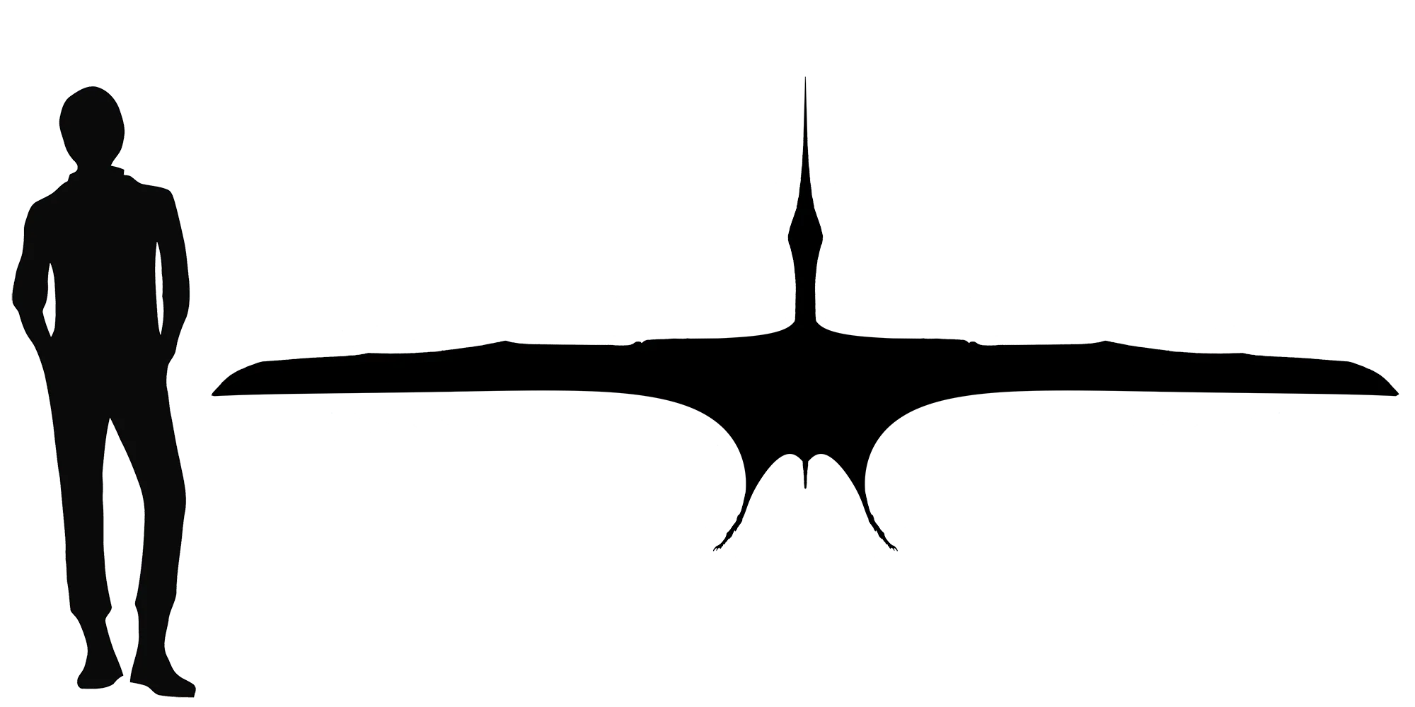 Muzquizopteryx wingspan comparison