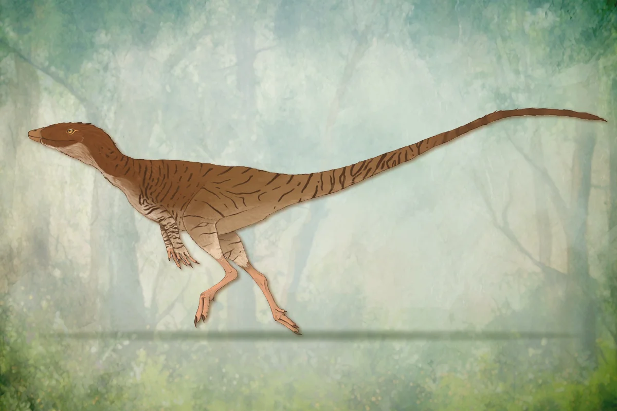 Dracoraptor hanigani