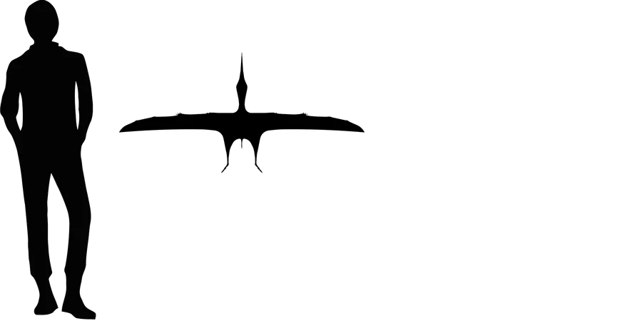 Shenzhoupterus wingspan comparison