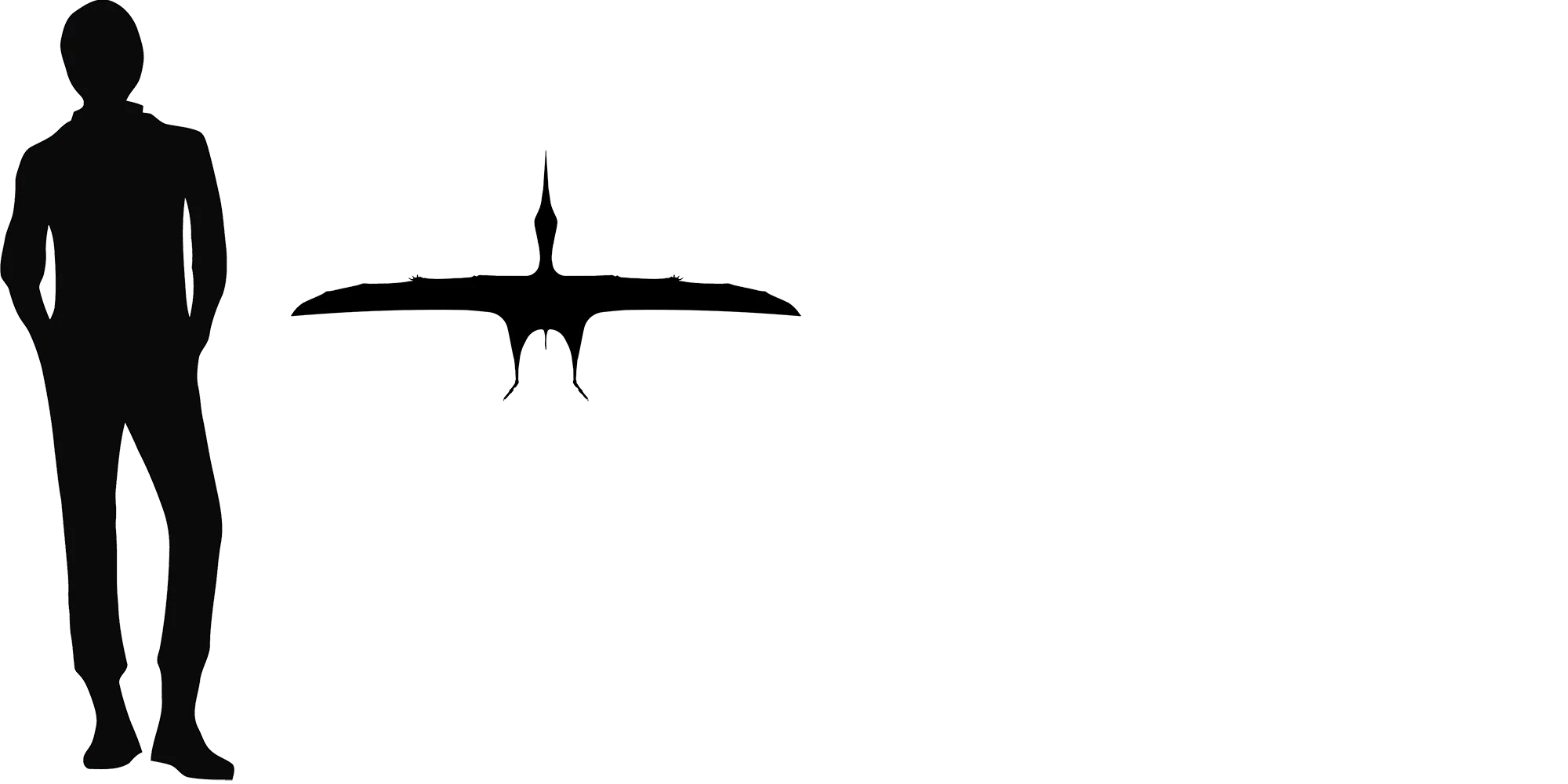 Eopteranodon wingspan comparison