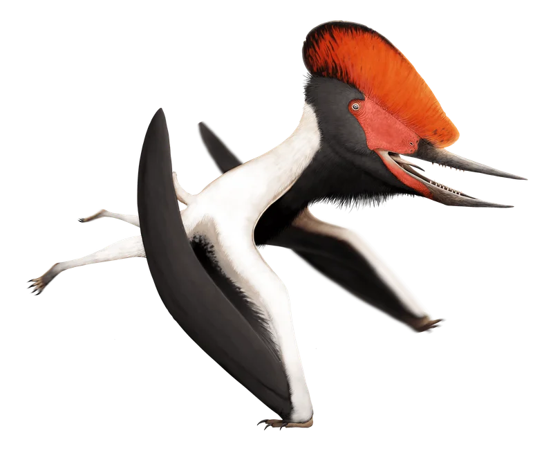 Lonchognathosaurus