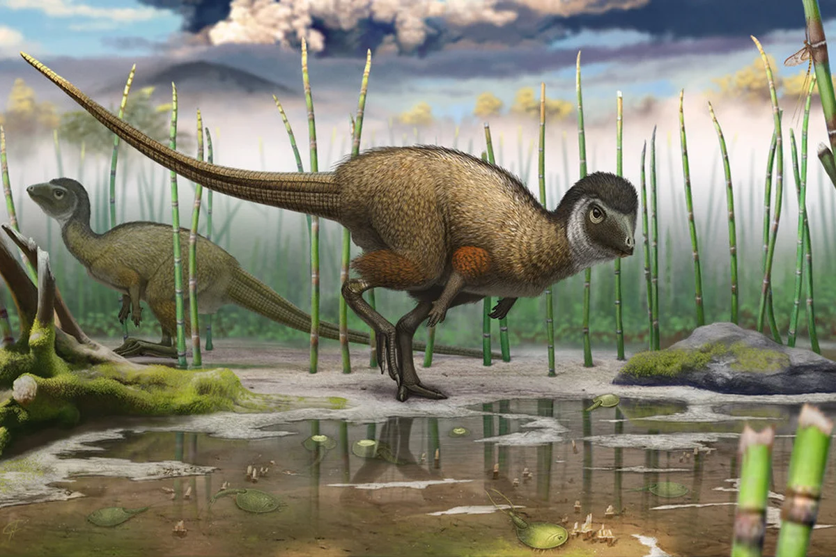 Kulindadromeus