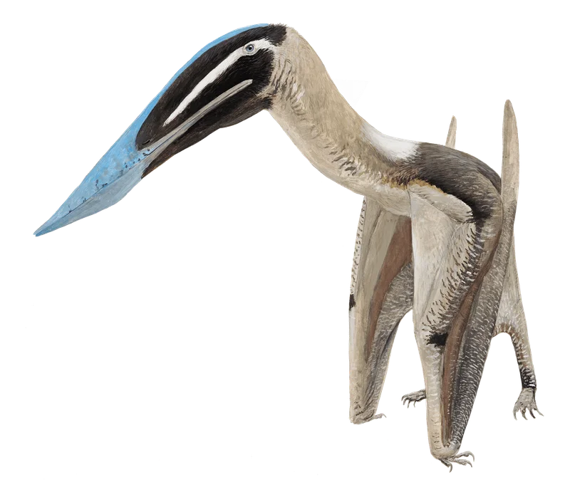 Keresdrakon