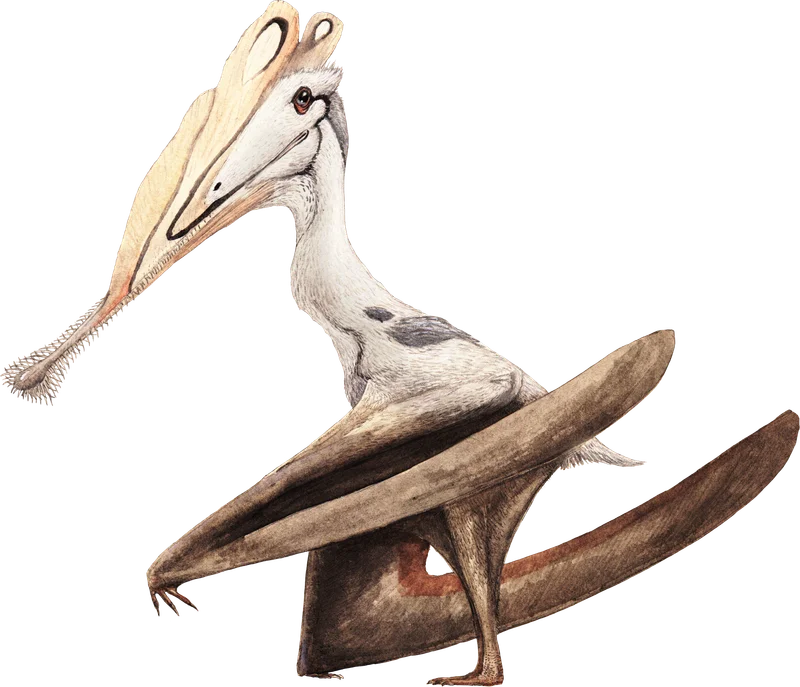 Gnathosaurus
